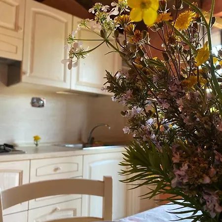 Monte Gusciani Apartament
